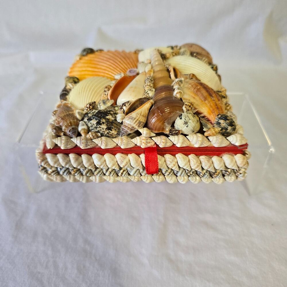 Shell Trinket Box Embellished Decorative Seashells 5.5" x 2" x 5.5"